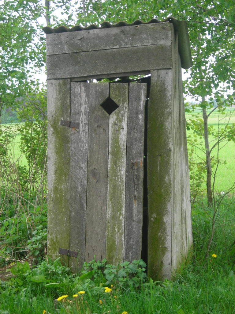 PSD vrea să elimine WC-urile din curte și promite bani pentru termopane