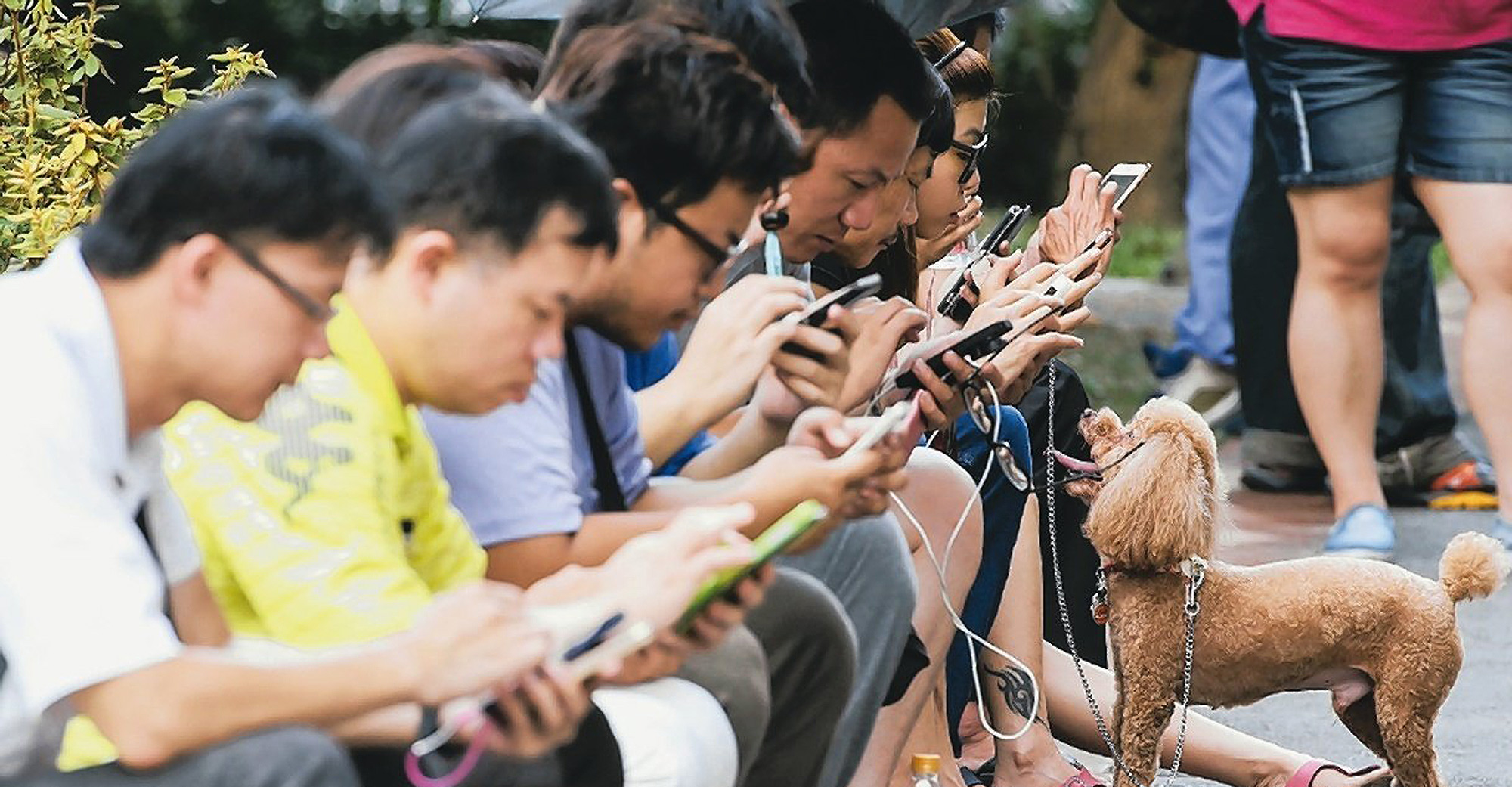 china instalat spionaj iphone bun