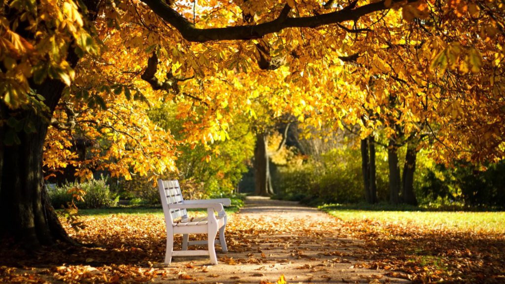 Prognoza meteo, luni – 9 septembrie. Cum va fi vremea în prima zi de școală