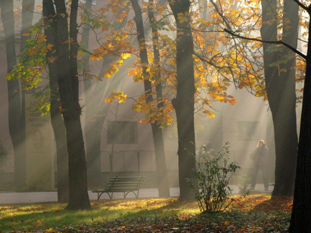 Prognoza meteo, marți, 22 octombrie