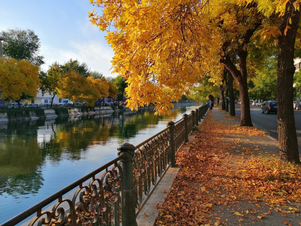 Prognoza meteo, marți, 19 noiembrie