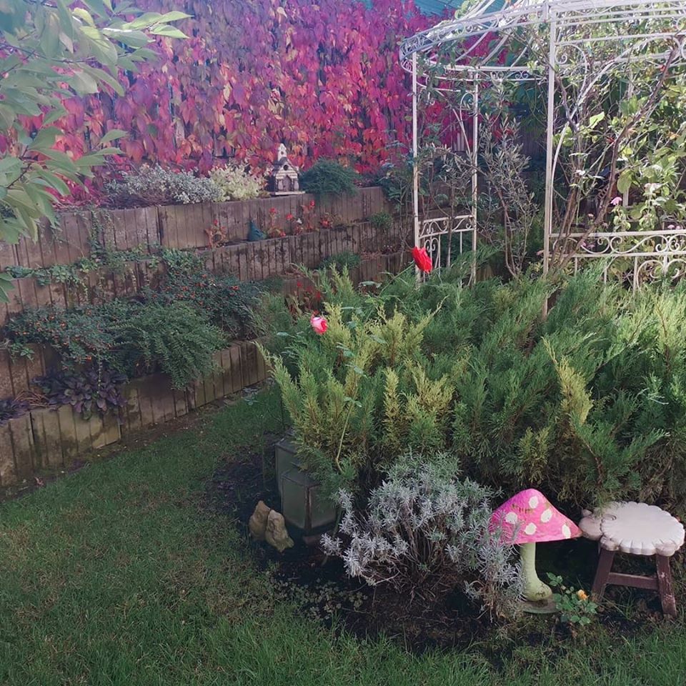 Andreea Marin și-a decorat casa cu lucruri cumpărate din întreaga lume