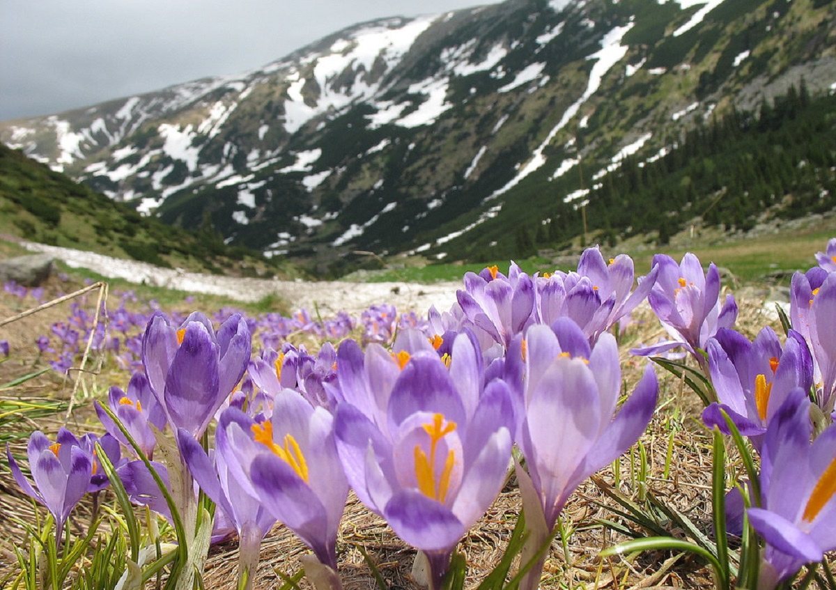 Prognoza meteo, 29 februarie - 1 martie 2020. Vremea în weekend. Ce temperaturi se vor înregistra în prima zi de primăvară