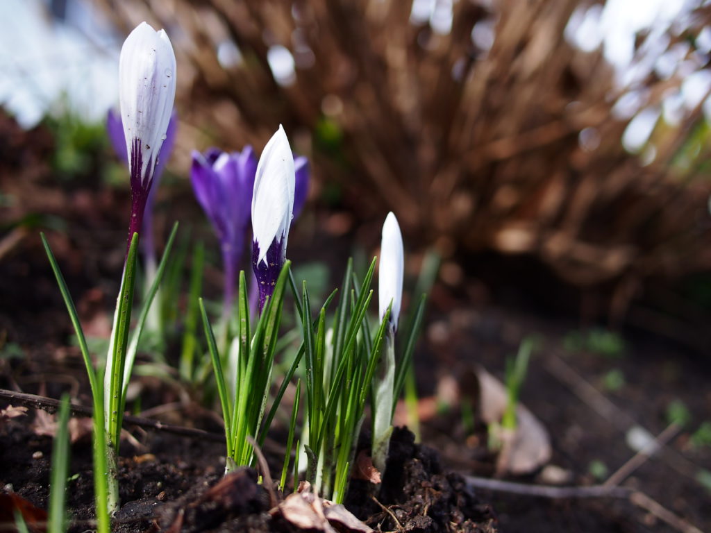 Prognoza meteo pentru 17 februarie 2020. Foto: pxhere.com