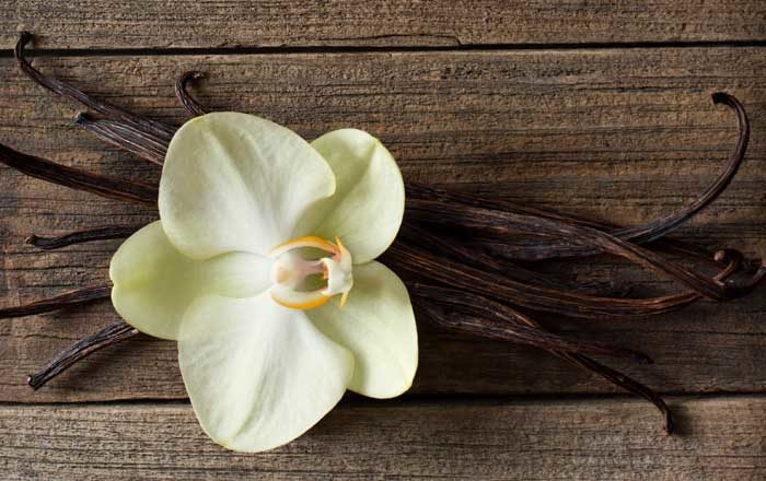 Vanilia are efecte de calmare