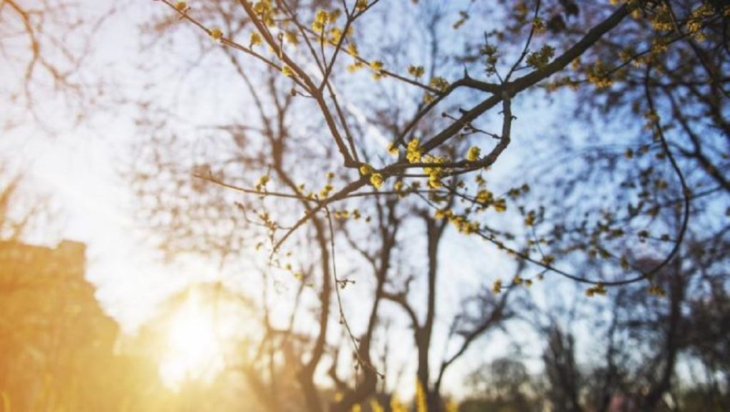 Prognoza meteo pentru 28-29 martie 2020. Vremea în weekend. Anunțul meteorologilor