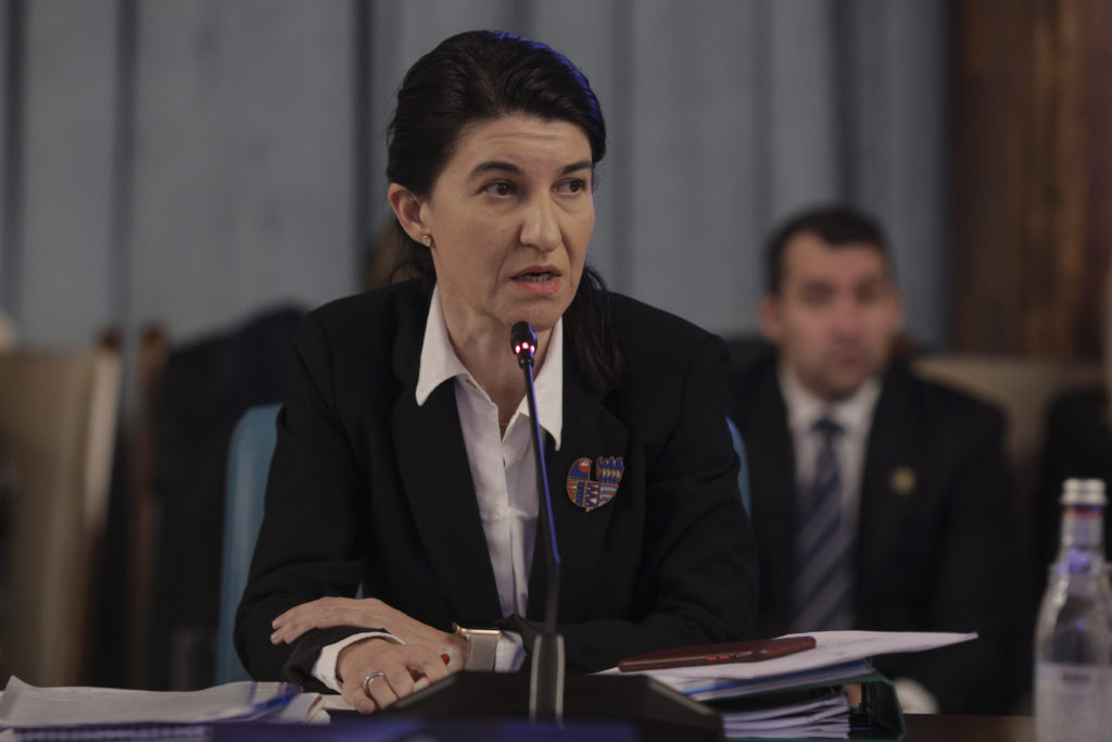 Violeta Alexandru, Ministrul Muncii, despre încasările de pensii. 