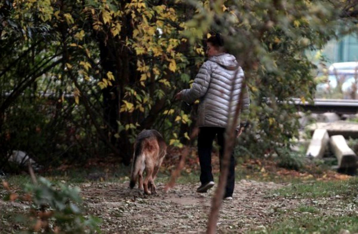 Durere sfâșietoare pentru Irina Loghin acum, de sărbători