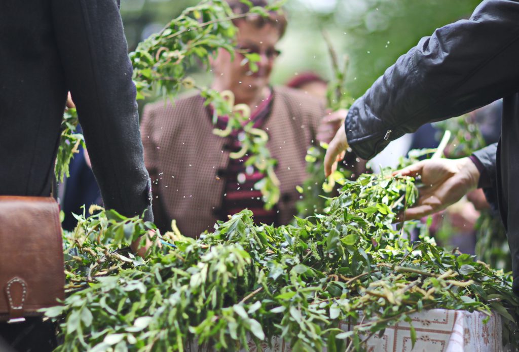 salcie, florii, icoane, pomi fructiferi