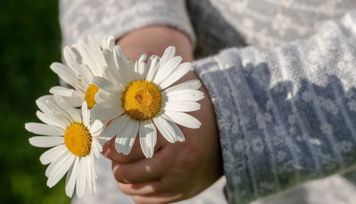 Galerie foto - Poza #3