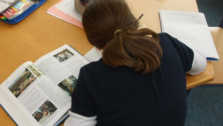 eleva, primar, scrisoare, telefon, cursuri online