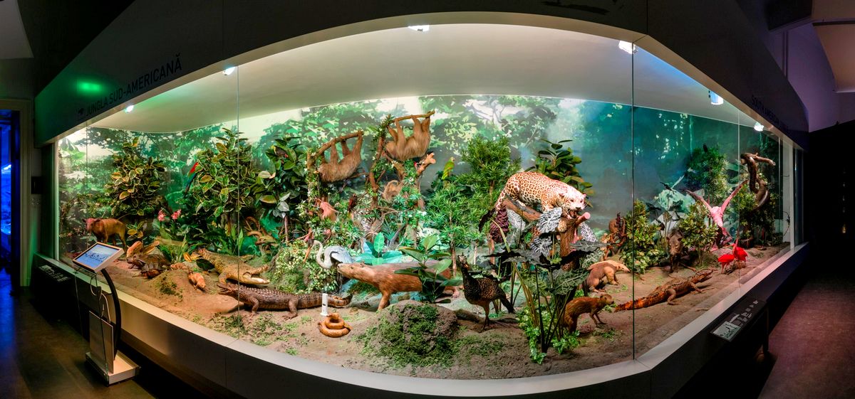 Galerie foto - Poza #3