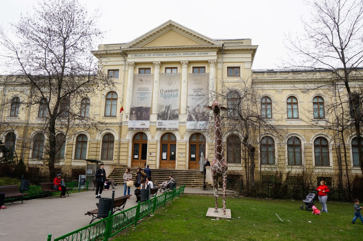 Sursă Foto: edițiadedimineata.ro