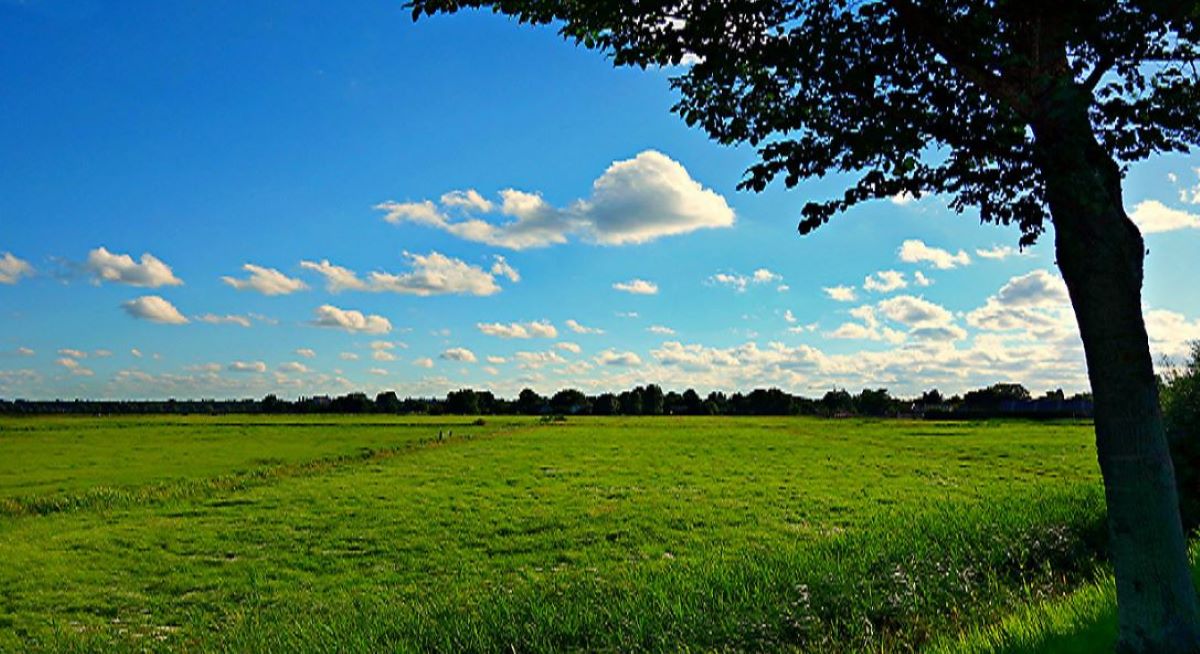  Relaxarea vine cu vreme frumoasă