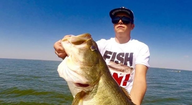 Galerie foto - Poza #1