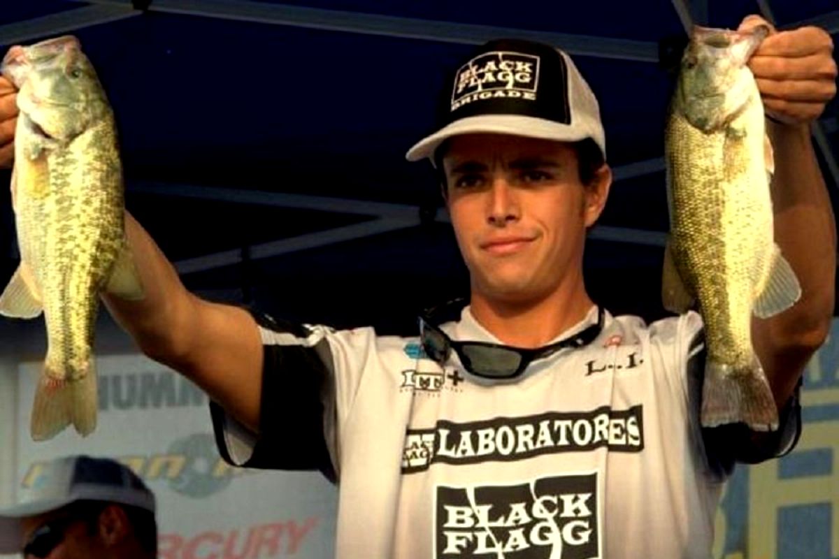 Galerie foto - Poza #2