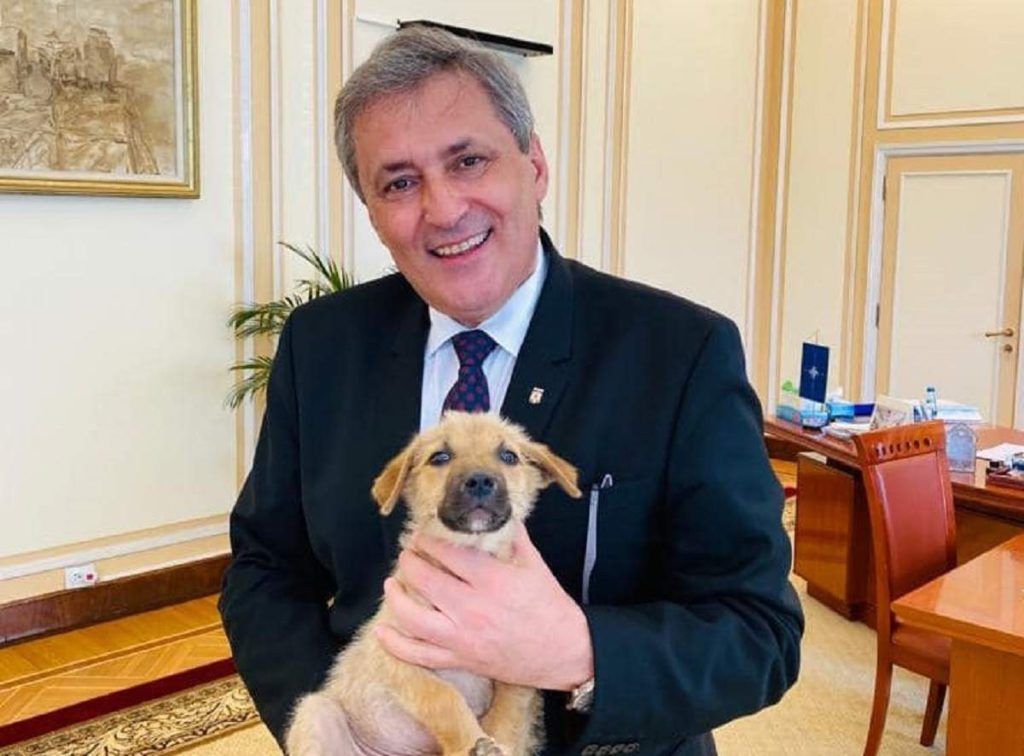 Poliția Animalelor devine realitate. Anunțul făcut de Marcel Vela