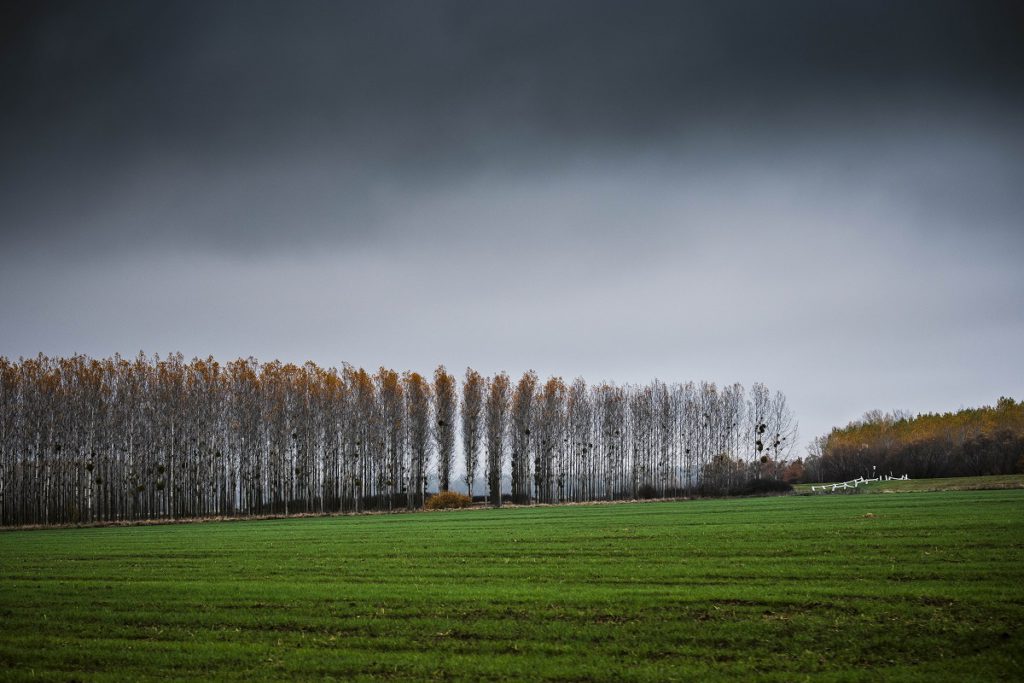 ANM: Vremea rea va continua și în următoarele zile. Foto: Inquam Photos/ Attila Szabo