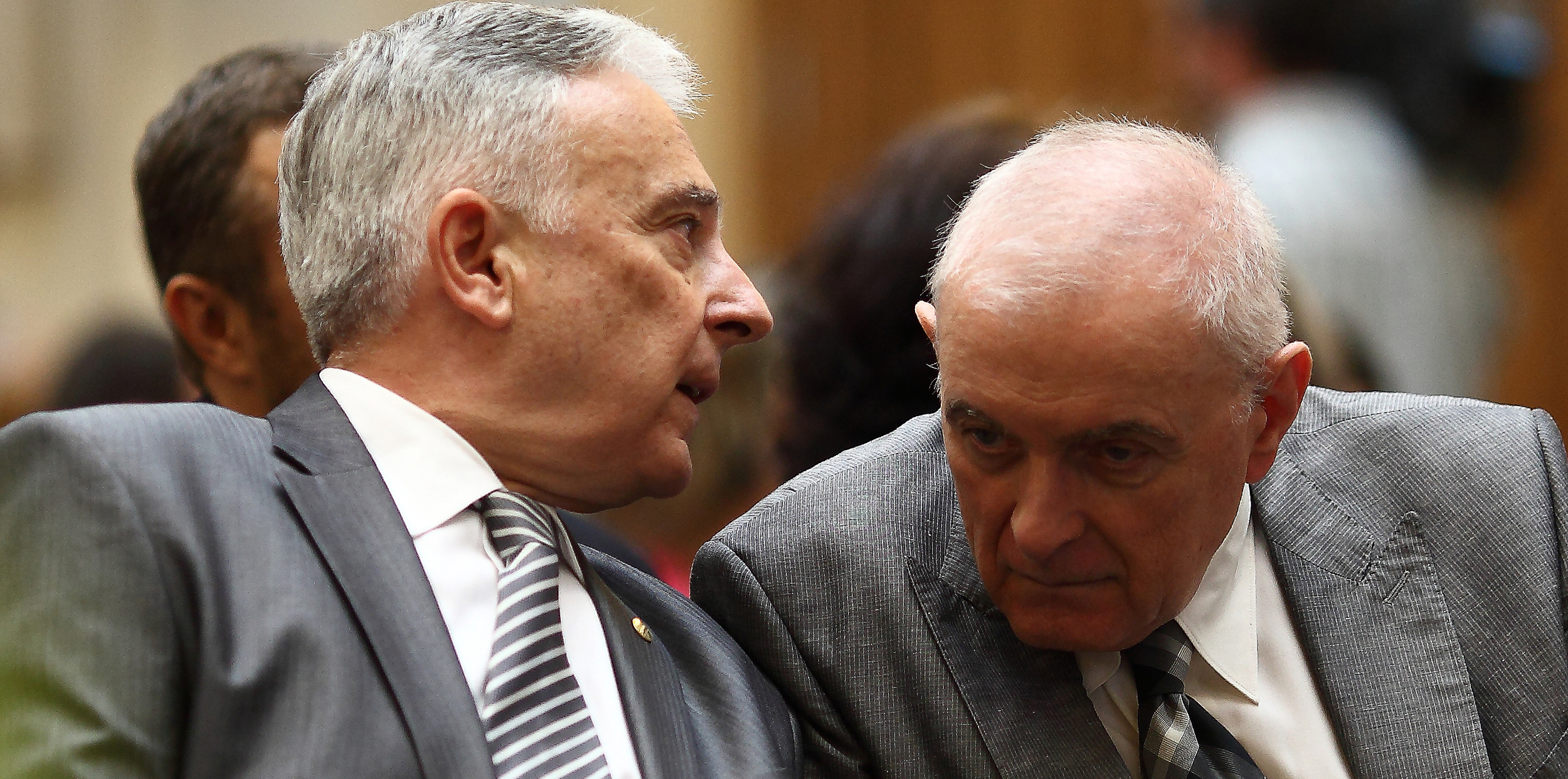 Galerie foto - Poza #3