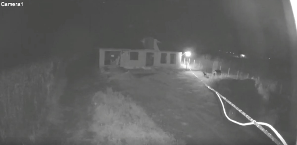 Galerie foto - Poza #1