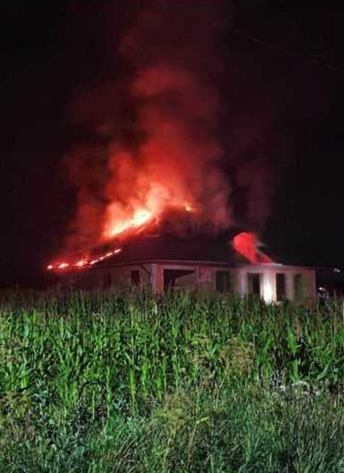 Galerie foto - Poza #3