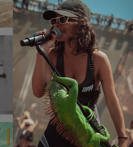 Galerie foto - Poza #1