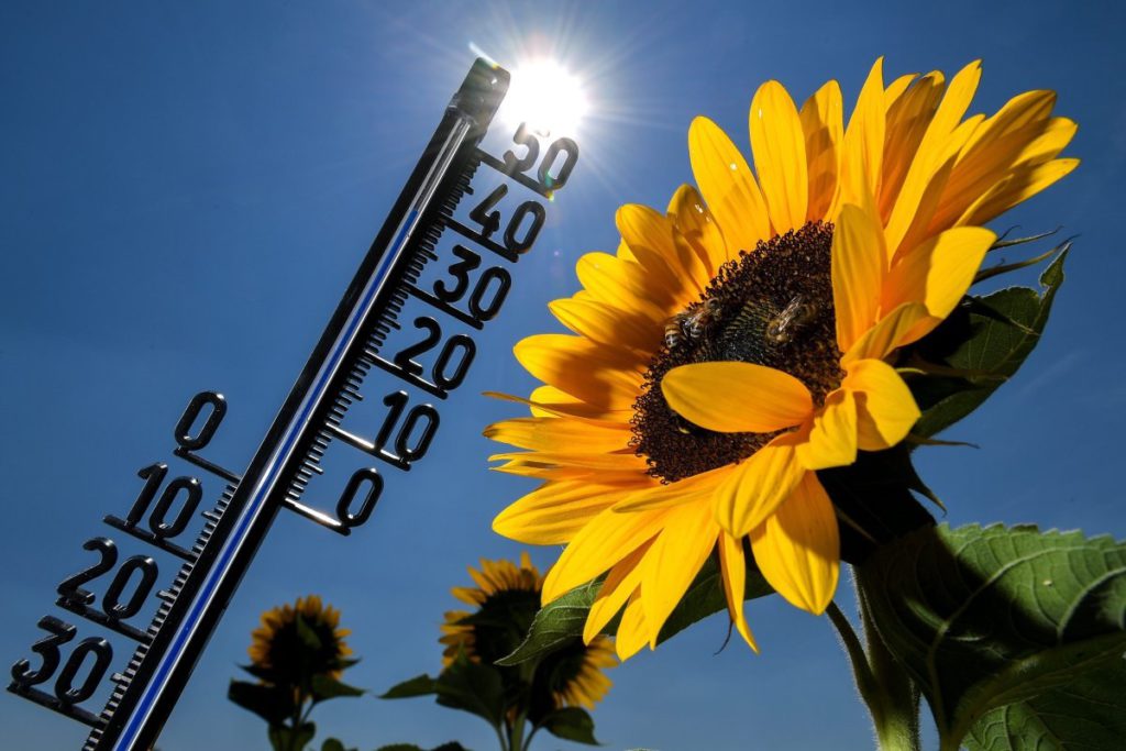 Prognoza meteo joi, 2 iulie. Ce se întâmplă cu canicula