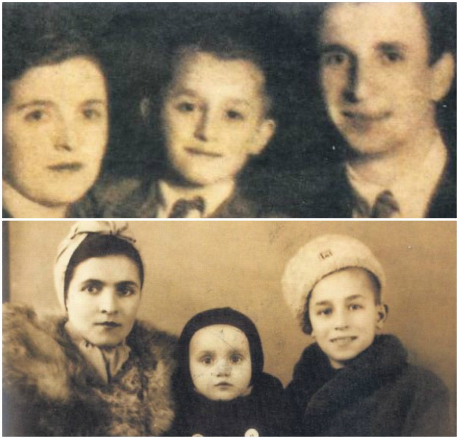 Galerie foto - Poza #3