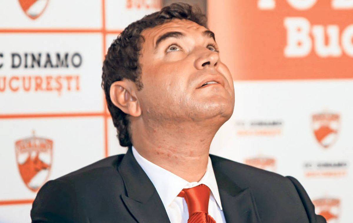 Galerie foto - Poza #2