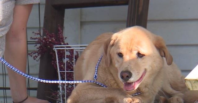 Galerie foto - Poza #3