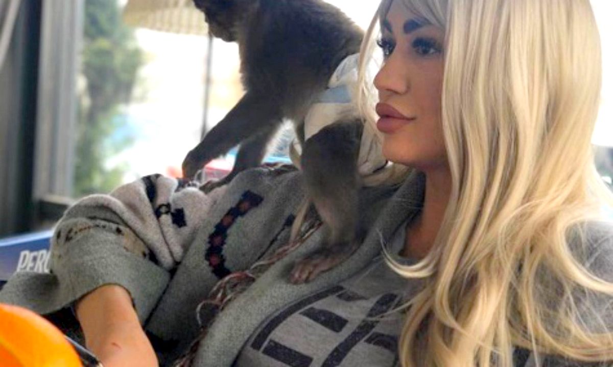 Galerie foto - Poza #2