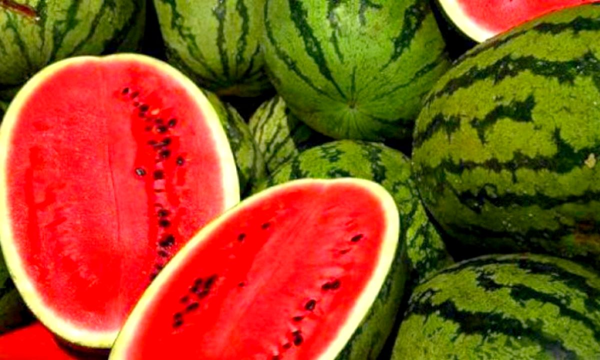 O nouă alertă alimentară. Fructul care trebuie aruncat imediat dacă a fost cumpărat. E periculos