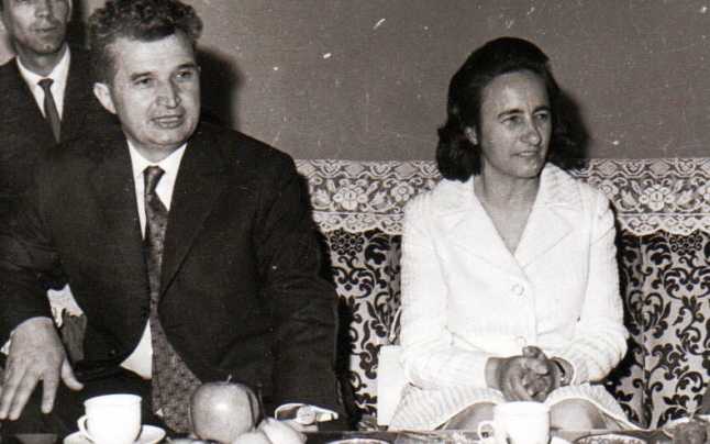 Galerie foto - Poza #2