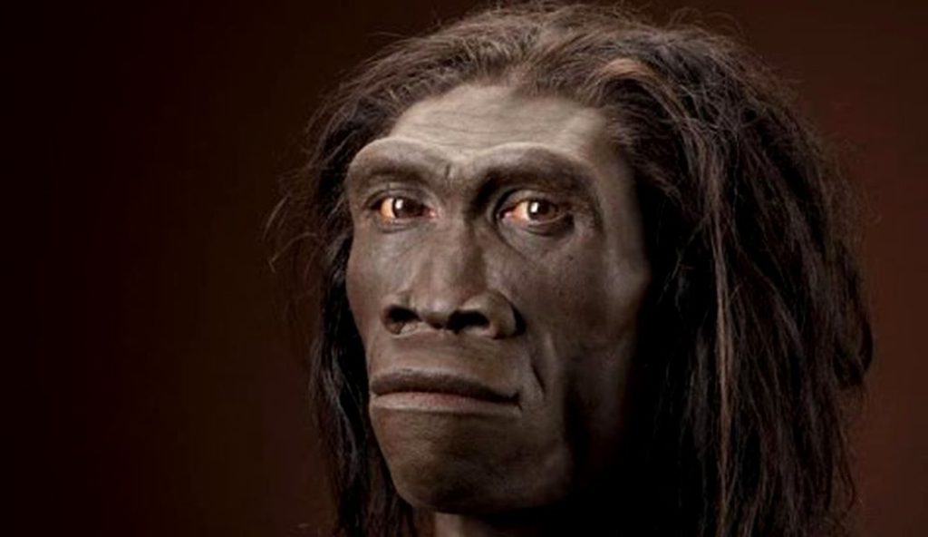 Descoperire uluitoare despre ADN-ul uman. Genele unei ființe misterioase