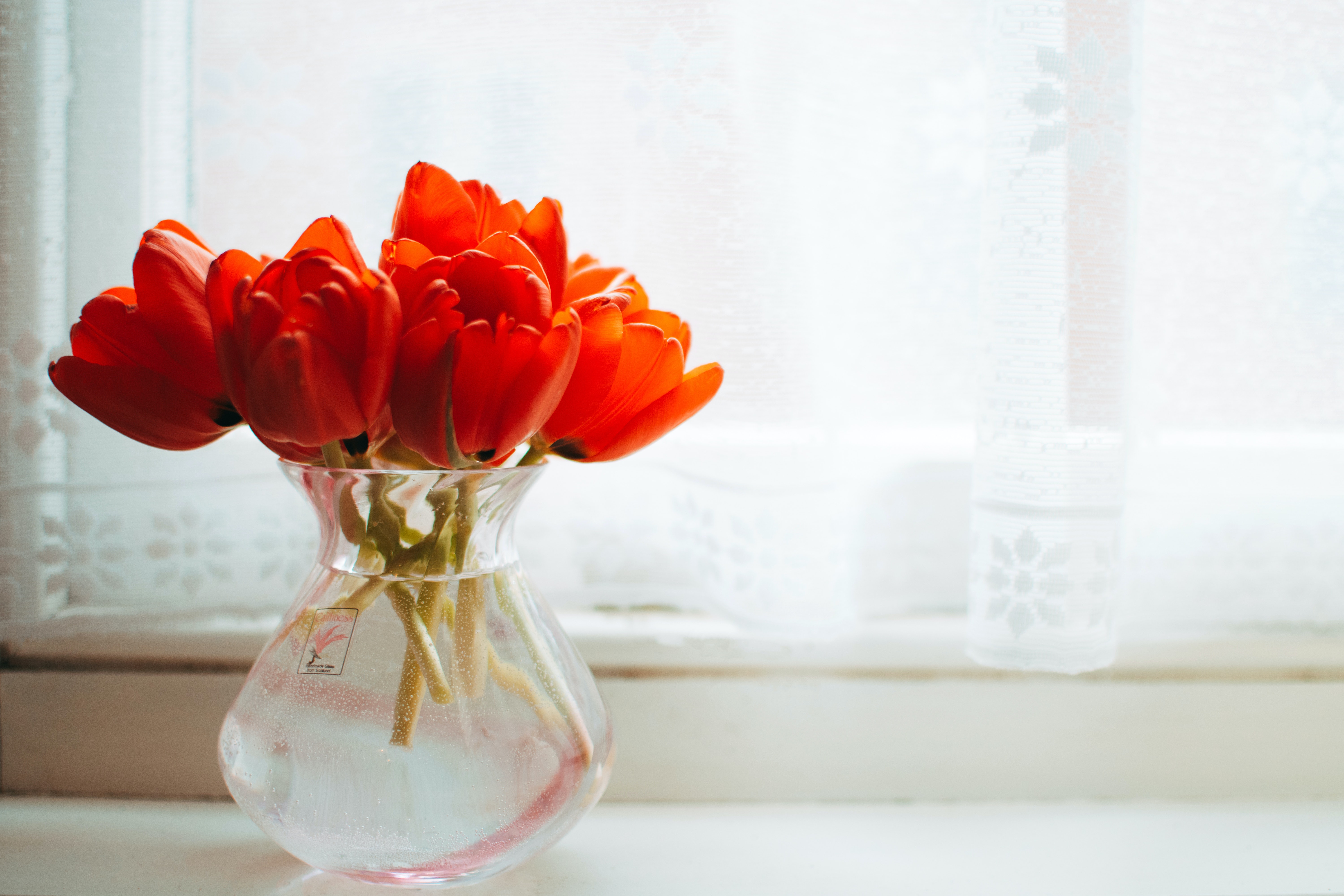 Cum prelungești viața florilor din vază foto - Pexels