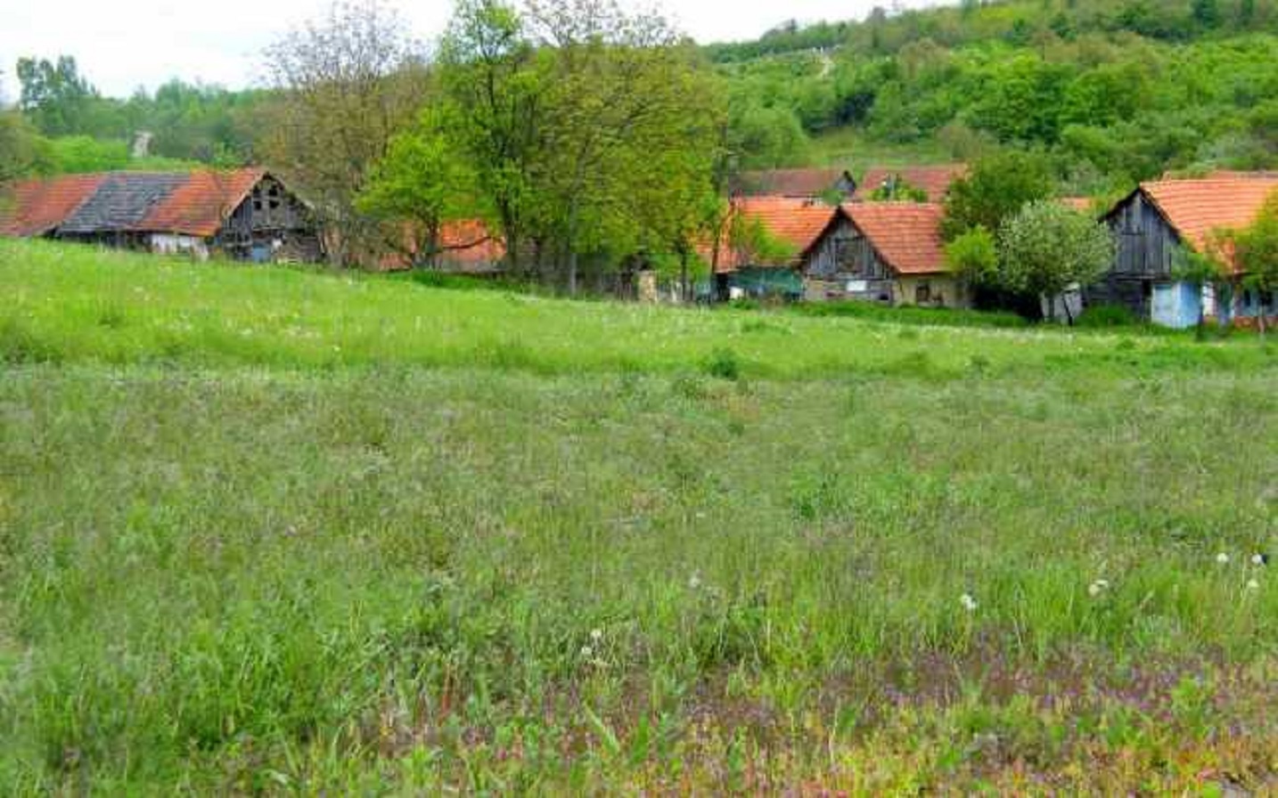Singura școală din județul Timiș care va începe școala în scenariul roșu nu are internet