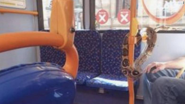 Un bărbat s-a urcat în autobuz cu un șarpe pe post de mască de protecție. Ce a urmat