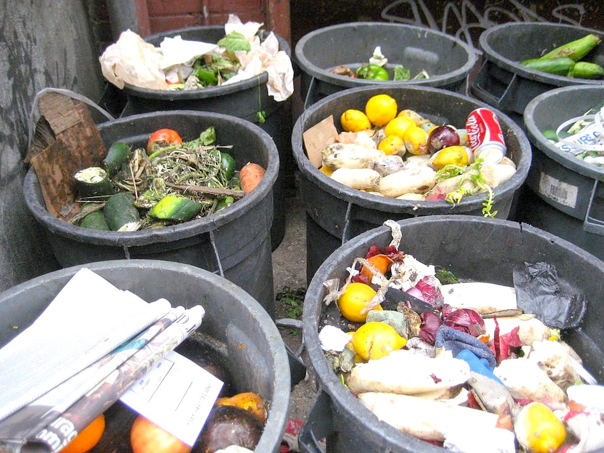 Cele mai simple trucuri pentru a evita risipa alimentară. Toți românii trebuie să știe asta 