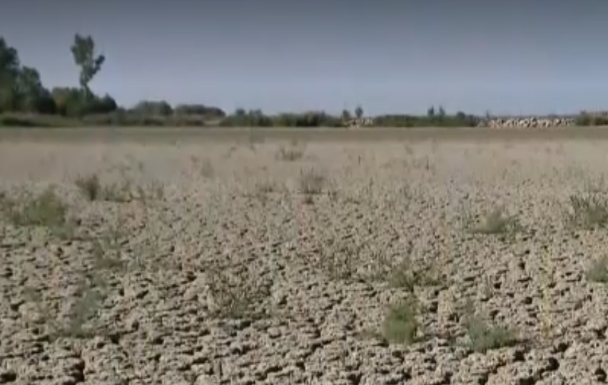 Dezastru în România. A apărut o zonă deșertică în locul unui lac de 400 de hectare. Veștile sunt îngrijorătoare