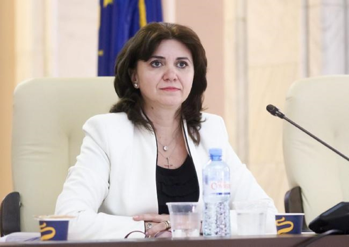 Ministerul Educatiei ar putea renunta la teze in anul scolar 2020-2021