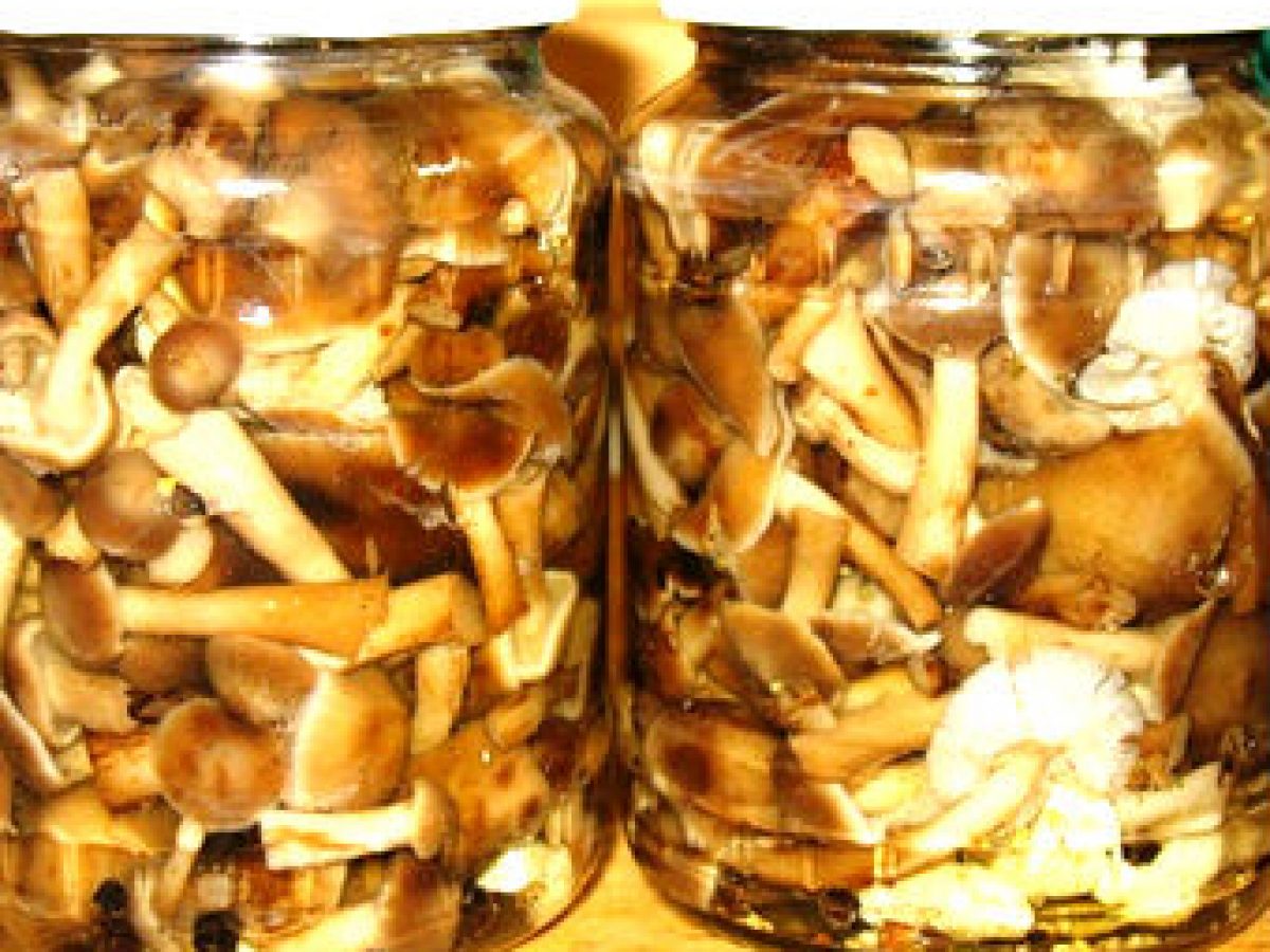 Reteta de ghebe marinate la borcan