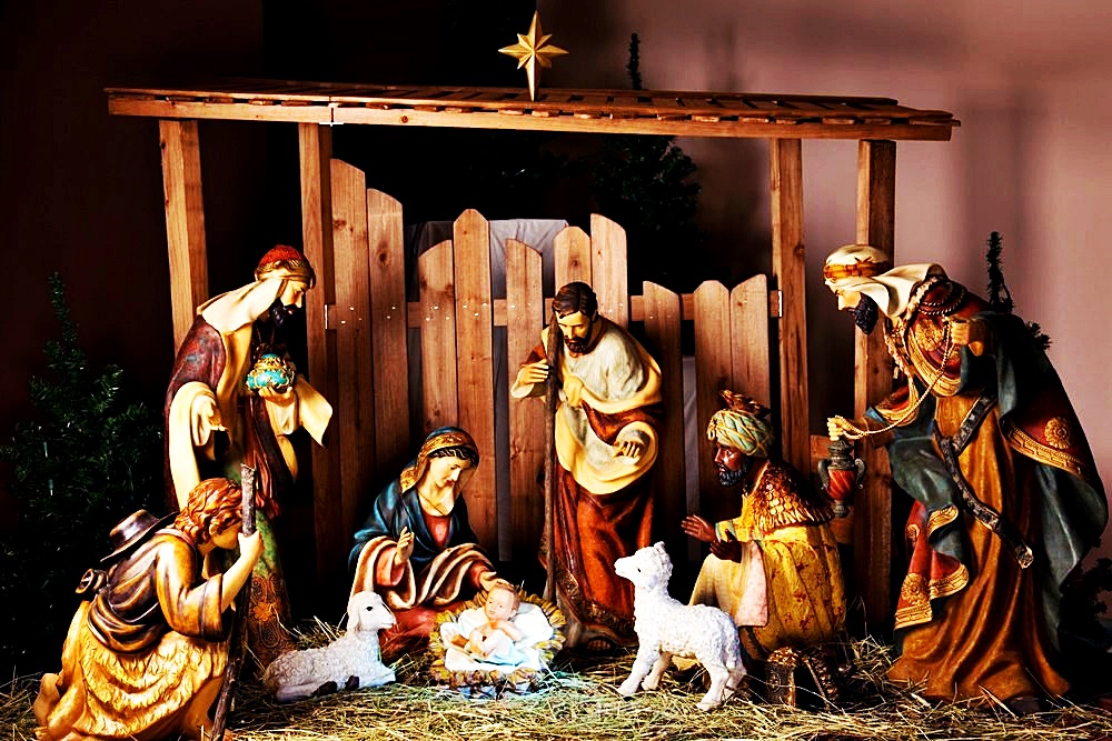 Galerie foto - Poza #2