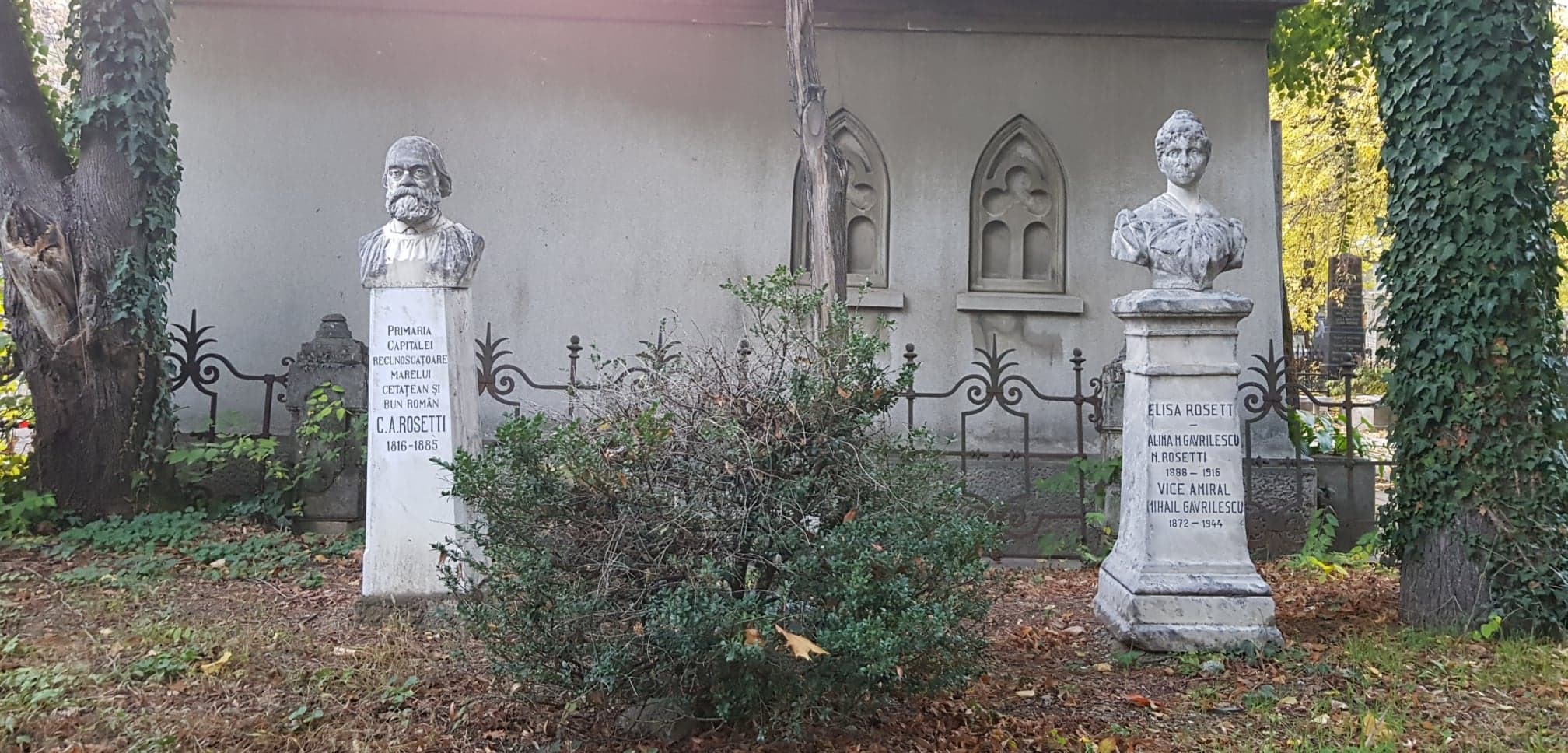 Galerie foto - Poza #1