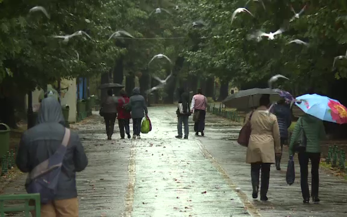 Prognoza meteo pentru Romania in perioada 2015 noiembrie