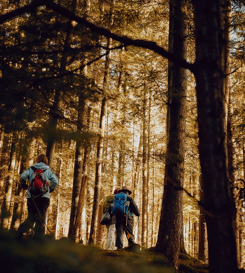”Va veni timpul, oamenii vor pleca în munţi. Dar să nu vă duceţi câte unul… În păduri şi munţi să mergeţi în grupuri mici” - Arhimandritul Gabriel