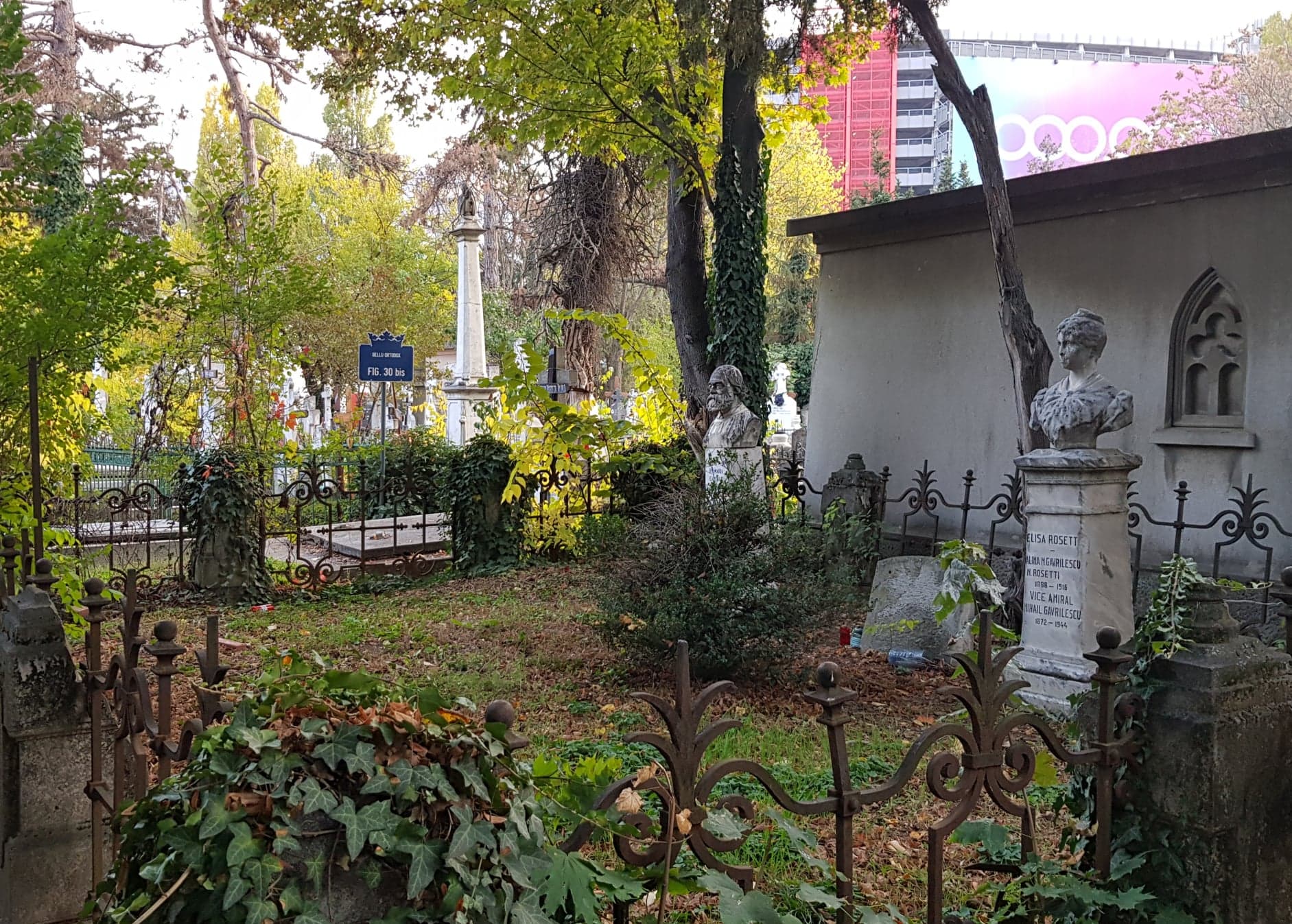 Galerie foto - Poza #2