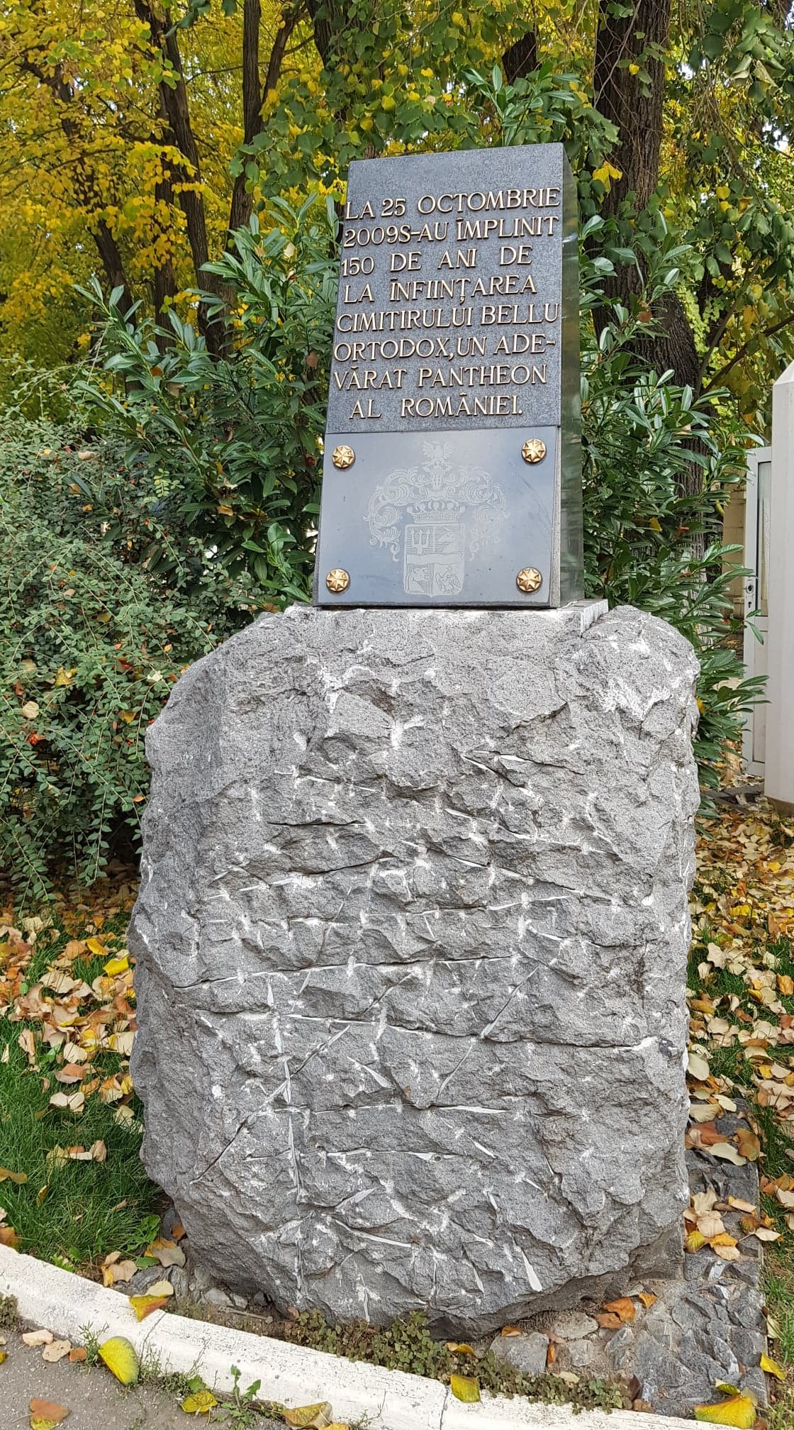 Galerie foto - Poza #3