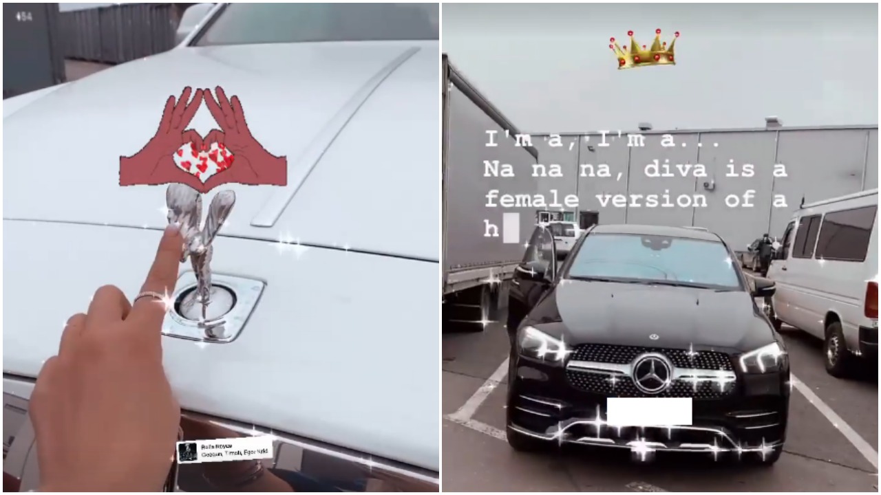 Cum arata bolizii de zeci de mii de euro pe care Bianca Dragusanu i-a cumparat 