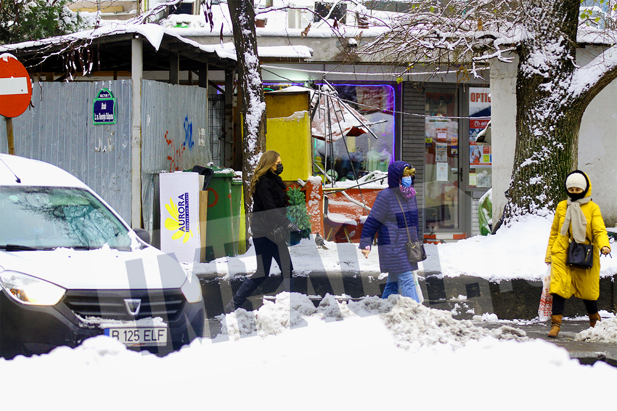 Galerie foto - Poza #3