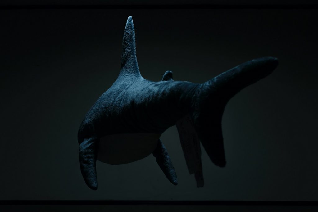 Imagini șocante cu un rechin înghițit de alt prădător din Ocean. Oamenii de știință au rămas uluiți VIDEO